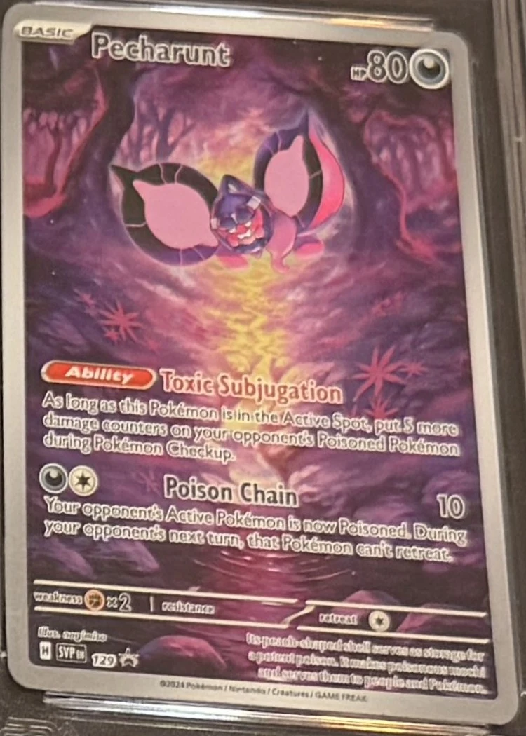 Pecharunt (full art promo), graded GRADED 9 — the exact slab for sale