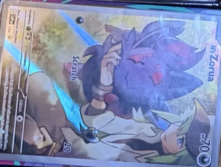 N's Zorua, graded RAW · UNGRADED — the exact slab for sale