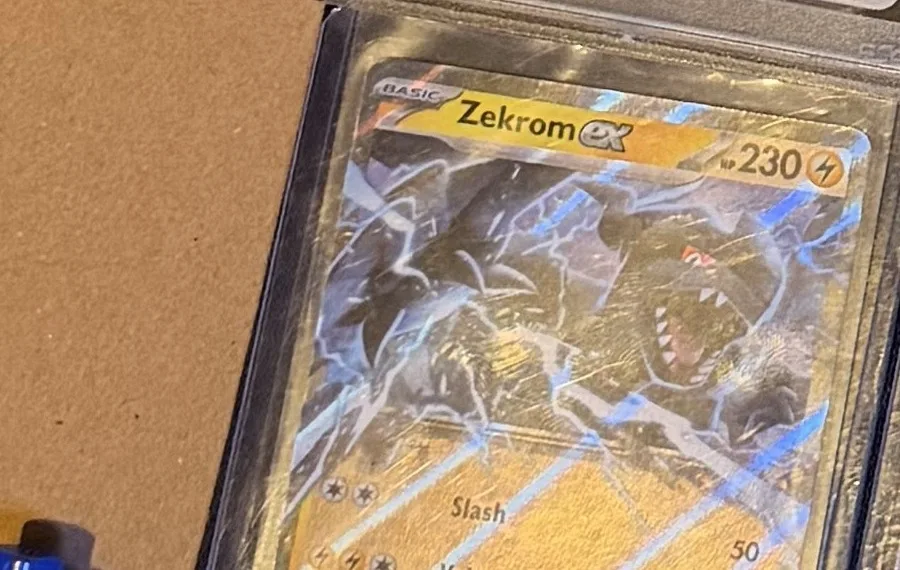 Zekrom ex, graded RAW · UNGRADED — the exact slab for sale