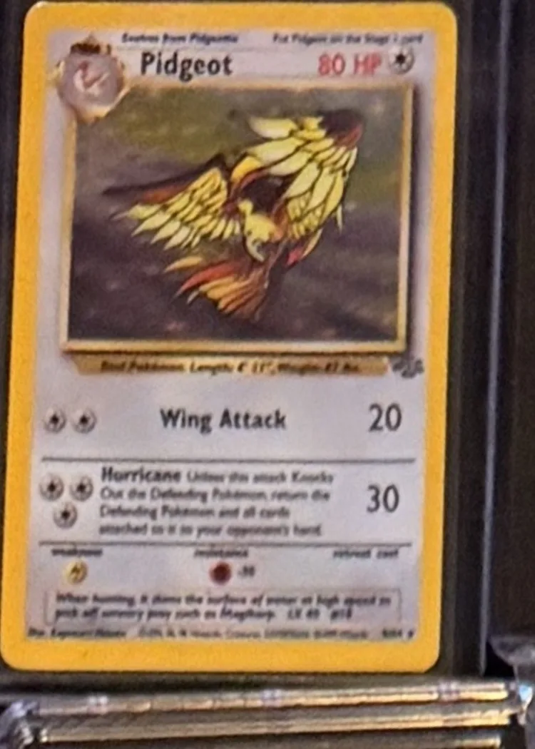 Pidgeot (holo), graded RAW · UNGRADED — the exact slab for sale