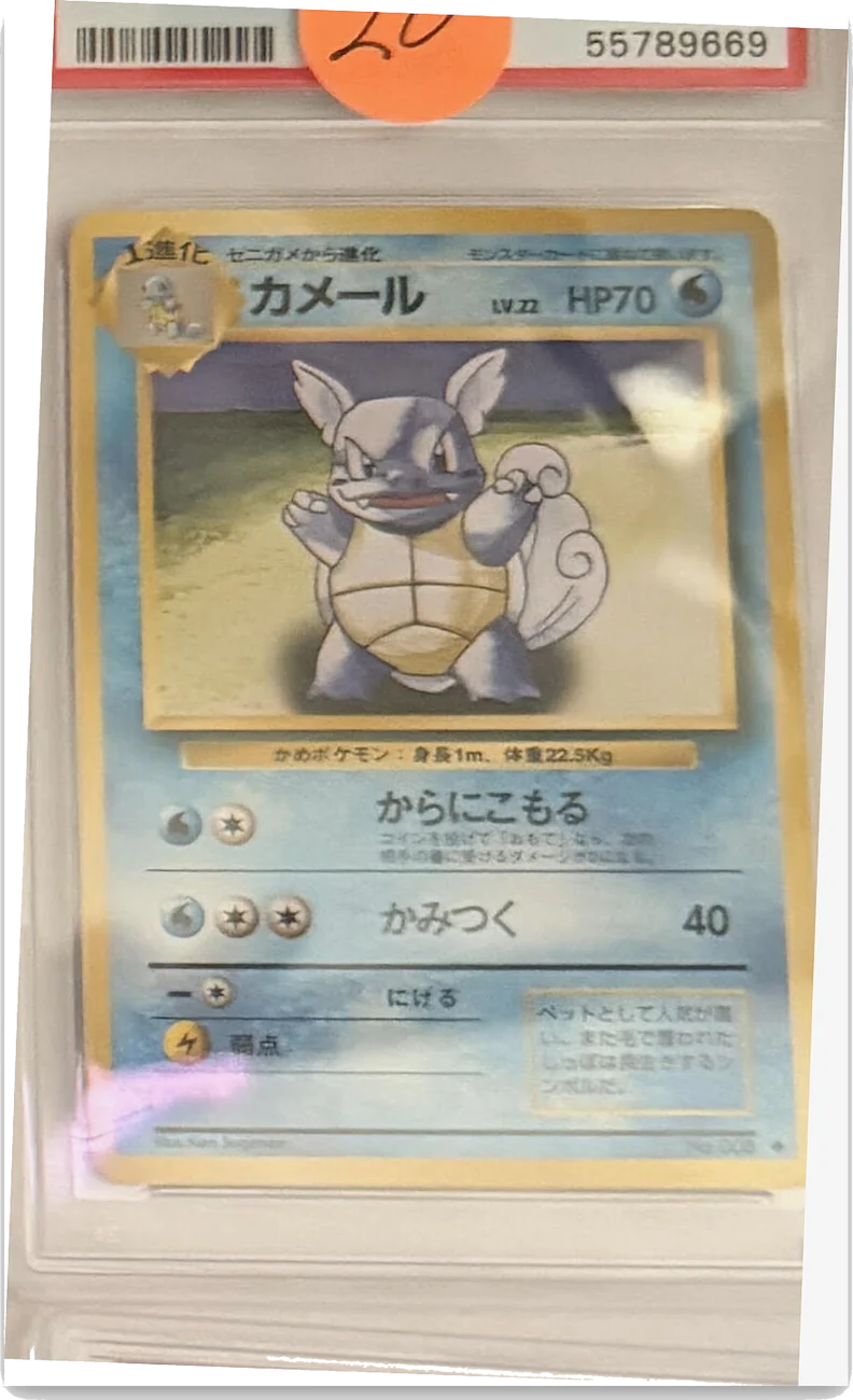 Wartortle — Japanese Base, graded PSA 6 — the exact slab for sale